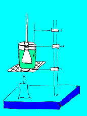 imagen anexo número  7b