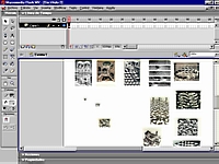 Con Ctrl-R se importan varias imgenes
