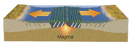 masa magma sale de dorsal