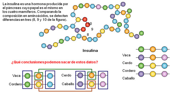 datos bioquímicos