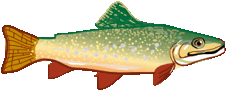 Descripción: Trout Clip Art