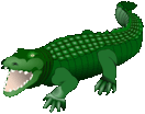 Descripción: Croc Clip Art