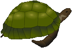 Descripción: Turtle Clip Art