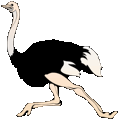 Descripción: Running Ostrich Clip Art