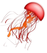 Descripción: Red Jellyfish Clip Art