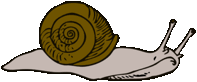 Descripción: Slow Snail Clip Art