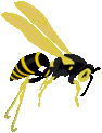 Descripción: Flying Wasp 2 Clip Art