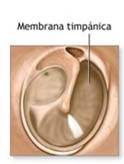 membrana timpánica