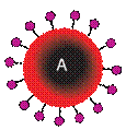 Imagen:ABO sangre tipo.svg