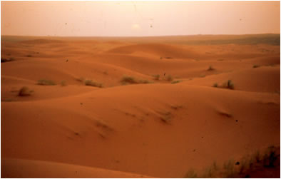 dunas