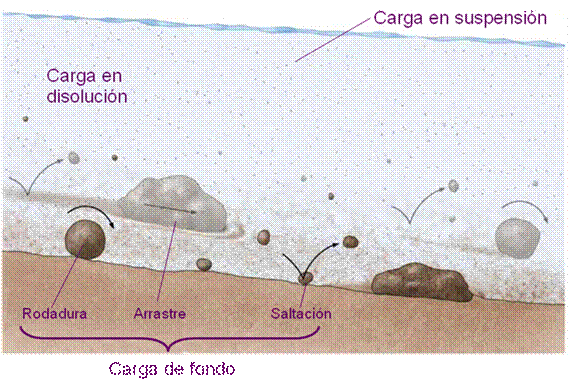 trasnporte