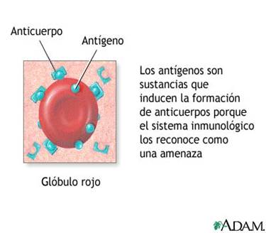antígeno