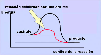 energía activación