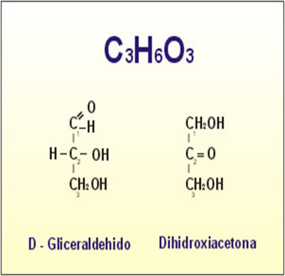 isomería