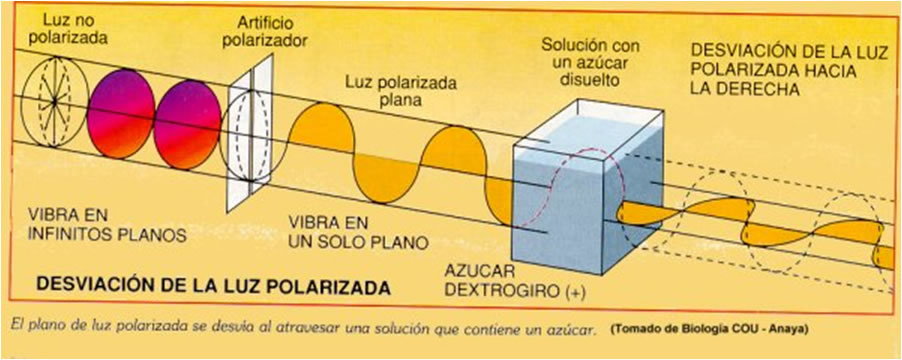 Polarización