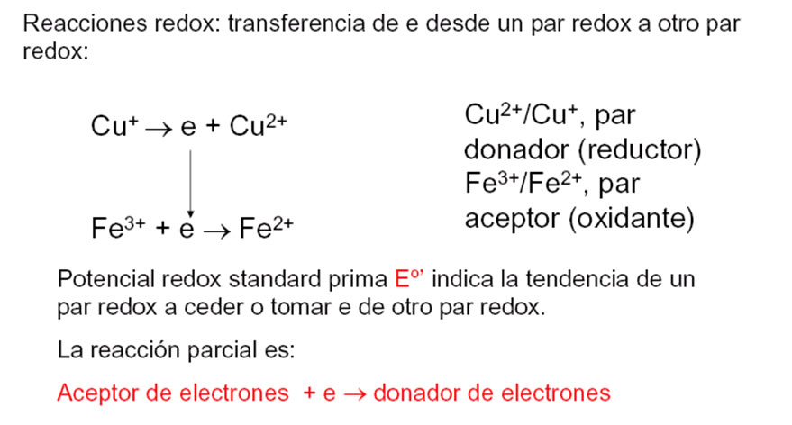 redox