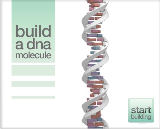Construye ADN