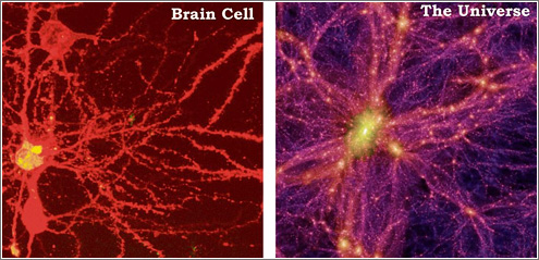 Neurona vs. Universo