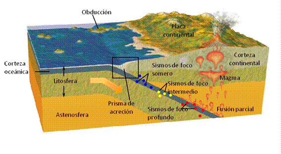 Convergencia placa continental-oceánica