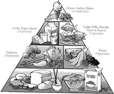 pirámide alimentos