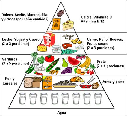 http://www.artmaniaque.com/es/IMG/gif/piramide-alimenticia.gif