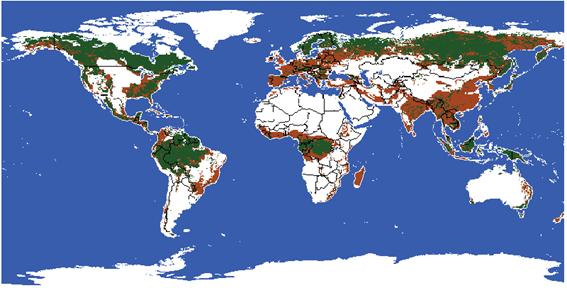 Figura 12-4 > Mapa de pérdida de bosque