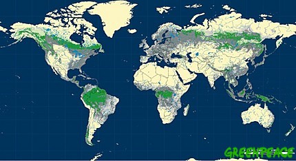 Mapa forestal mundial
