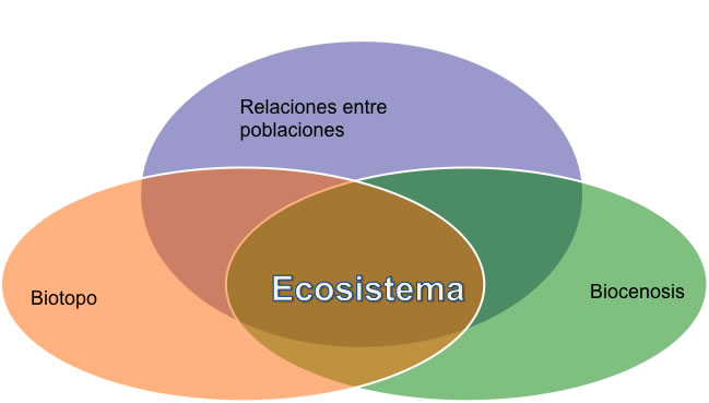 qué es un ecosistema