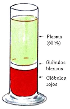 plasma